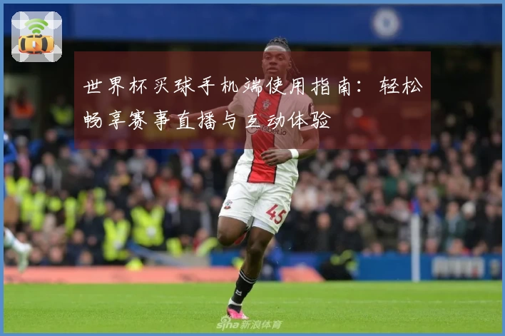 世界杯买球手机端使用指南：轻松畅享赛事直播与互动体验