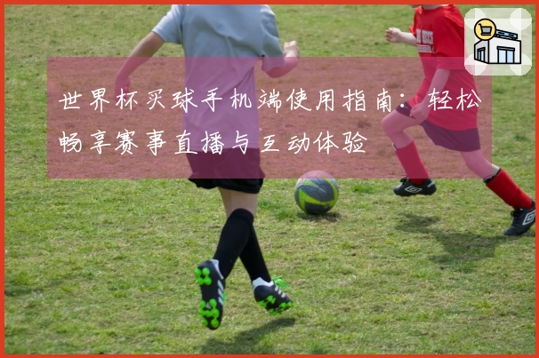 世界杯买球手机端使用指南：轻松畅享赛事直播与互动体验