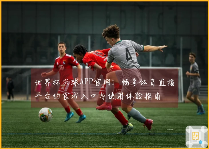 世界杯买球APP官网：畅享体育直播平台的官方入口与使用体验指南