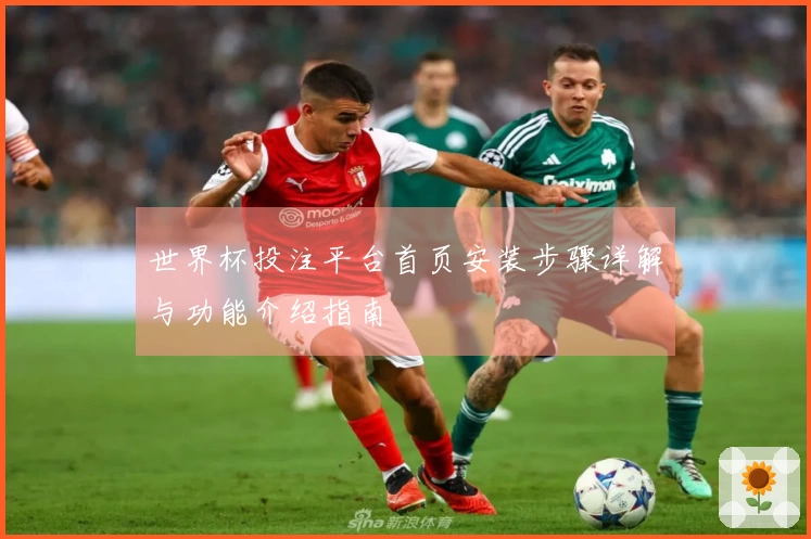 世界杯投注平台首页安装步骤详解与功能介绍指南